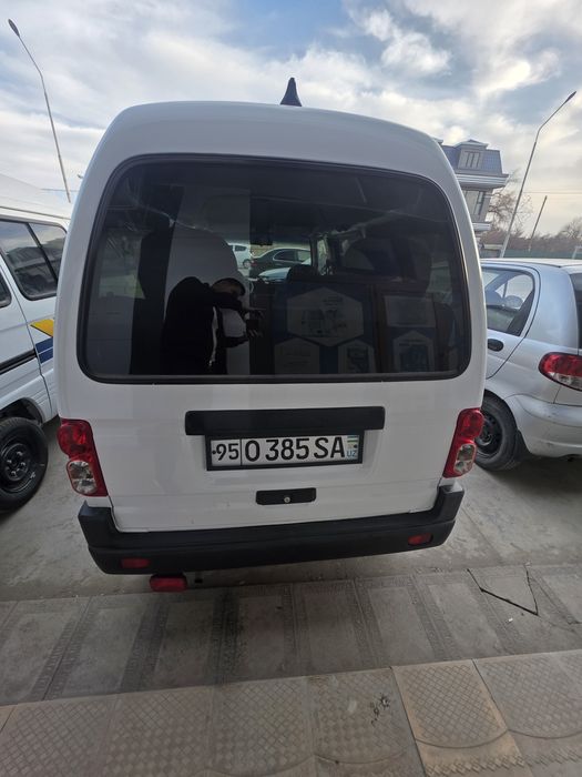 Дамас 2024 родной краска