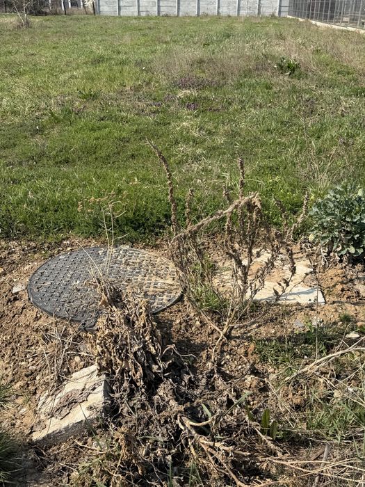 Teren intravilan 1000mp Santandrei str Macesului