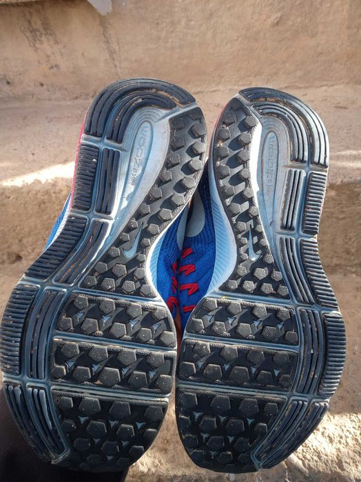 Nike Zoom Pegasus 33