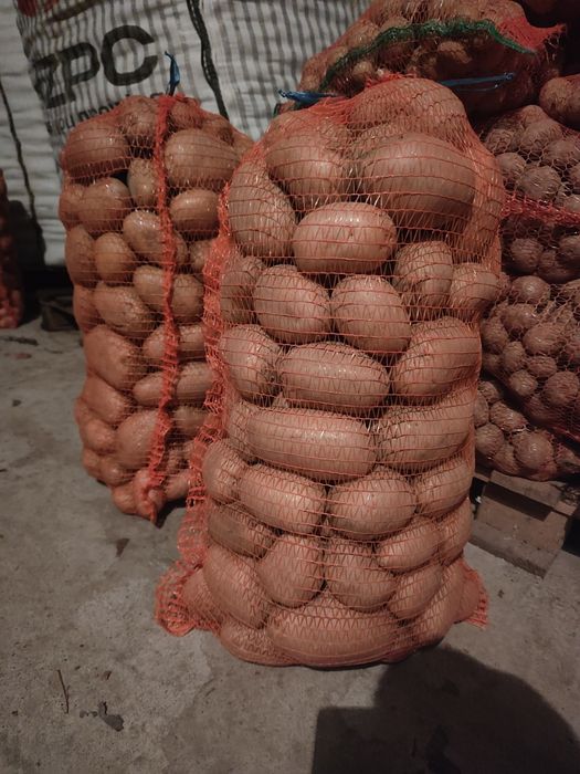 Cartofi consum calitatea 1 , cartofi mărunți 0,79lei/kg