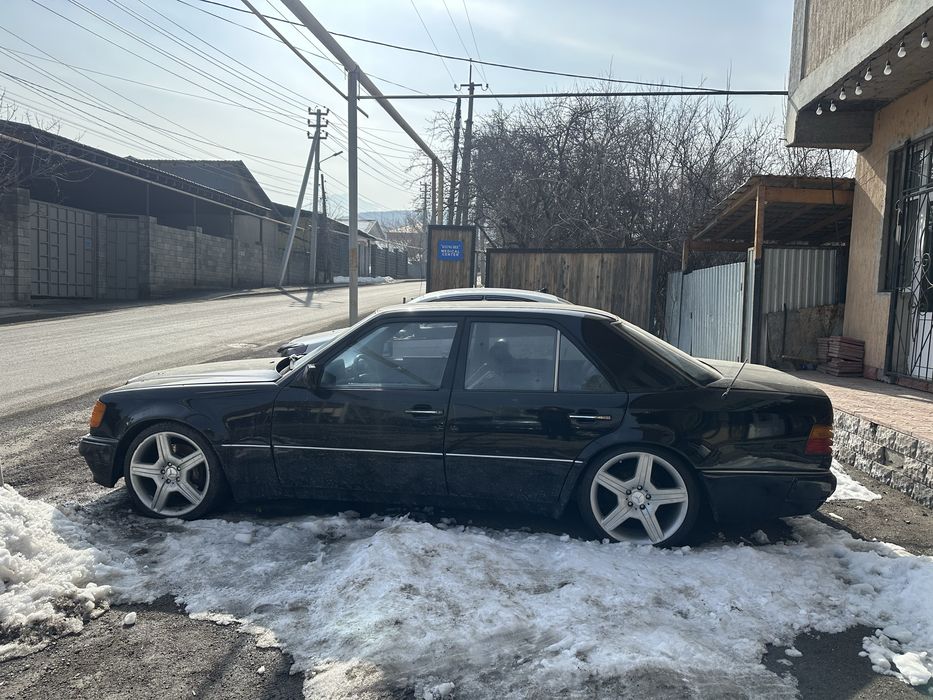 Аппалоны R19 Разнощирокие