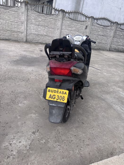 Kymxo grand dink 250