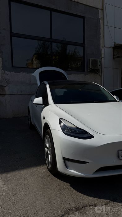 Tesla model Y dual
