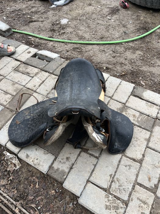 Ер тоқым тап таза