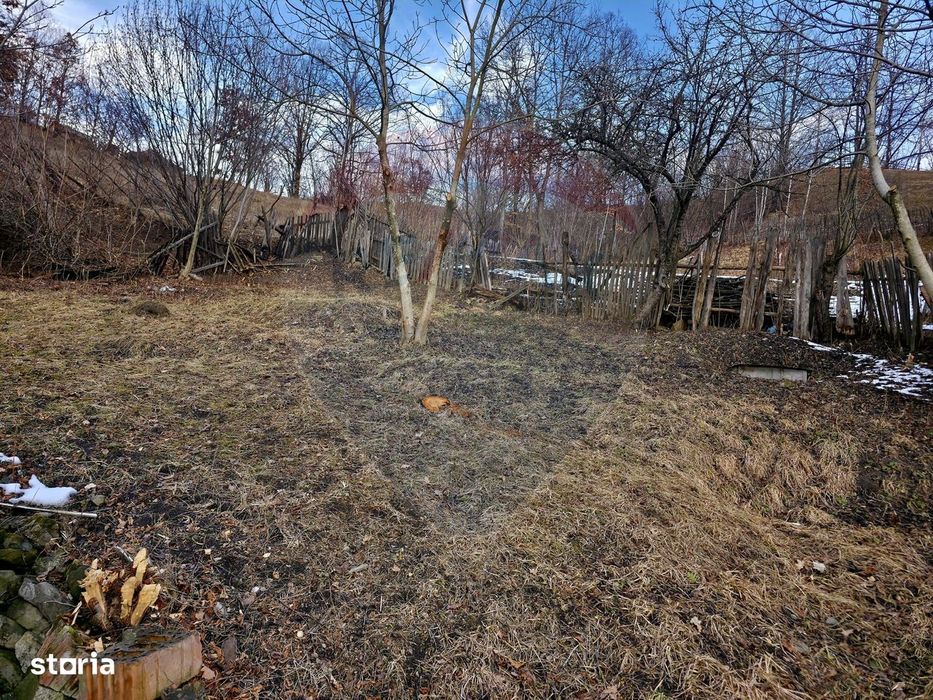 Teren 711mp Hangu / DN GROZAVESTI