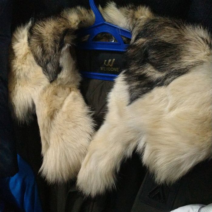 Жесткий диск 500гб. 250гб. Разные