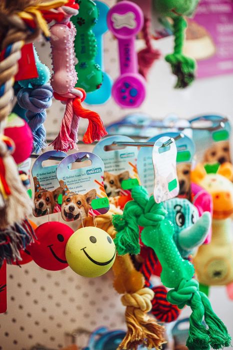 Продавам разработен бизнес със Зоомагазин