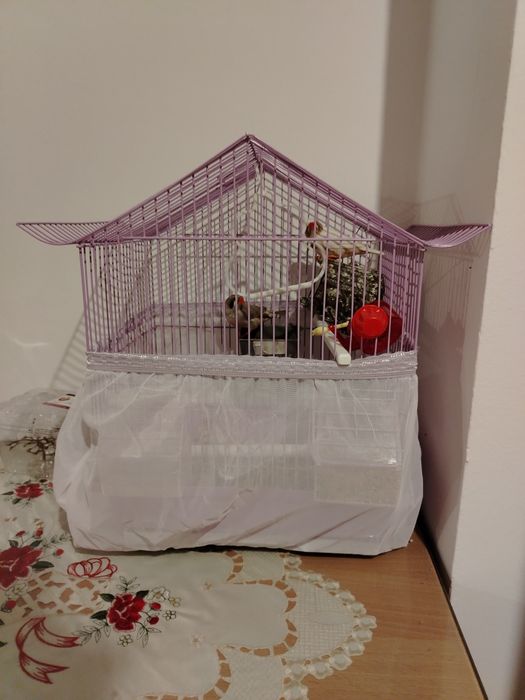 Colivii pentru păsări