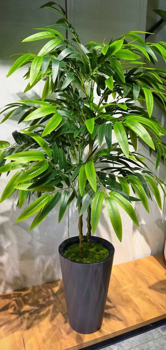 Суний гуллар ва драхтлар