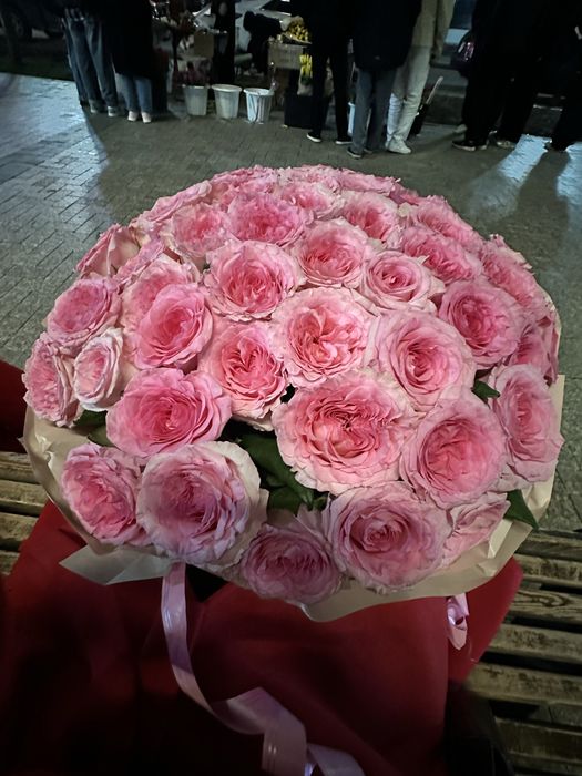 Цветы Роза красивые