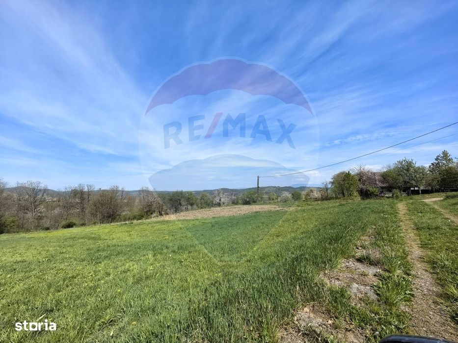 Teren intravilan de vânzare – Copalnic Mănăștur – 3.000 mp