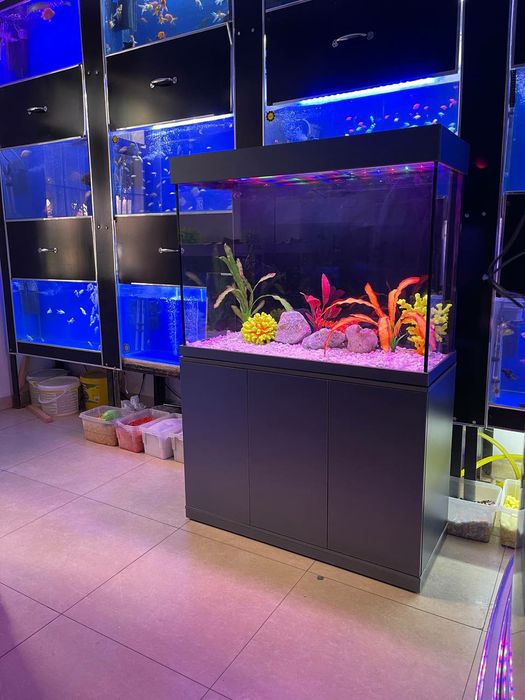 Akvarium New 315 litrlik