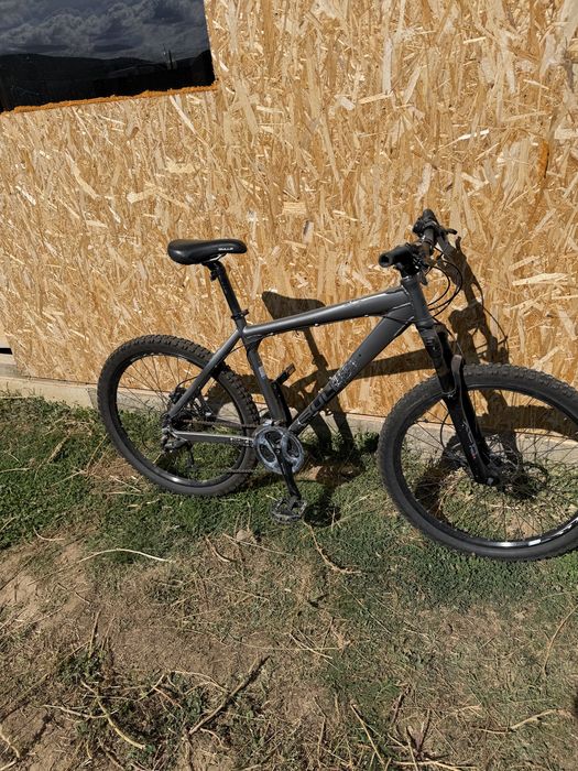 mtb Bulls  Bulls