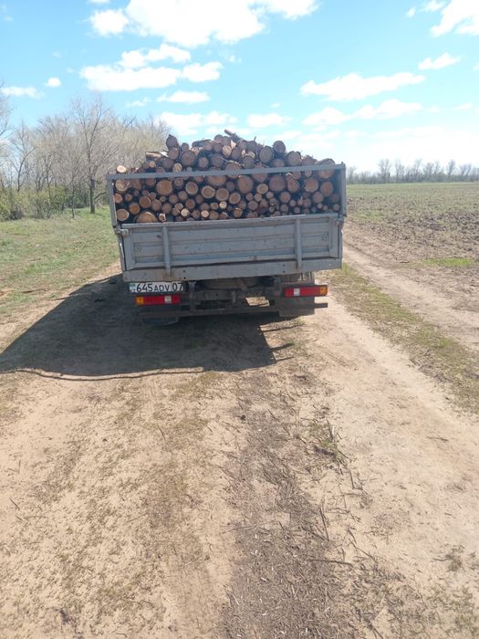 Продам дрова карагачь сухой