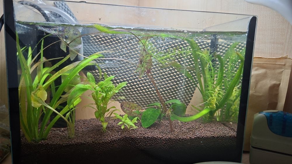 Аквариум с грунтом