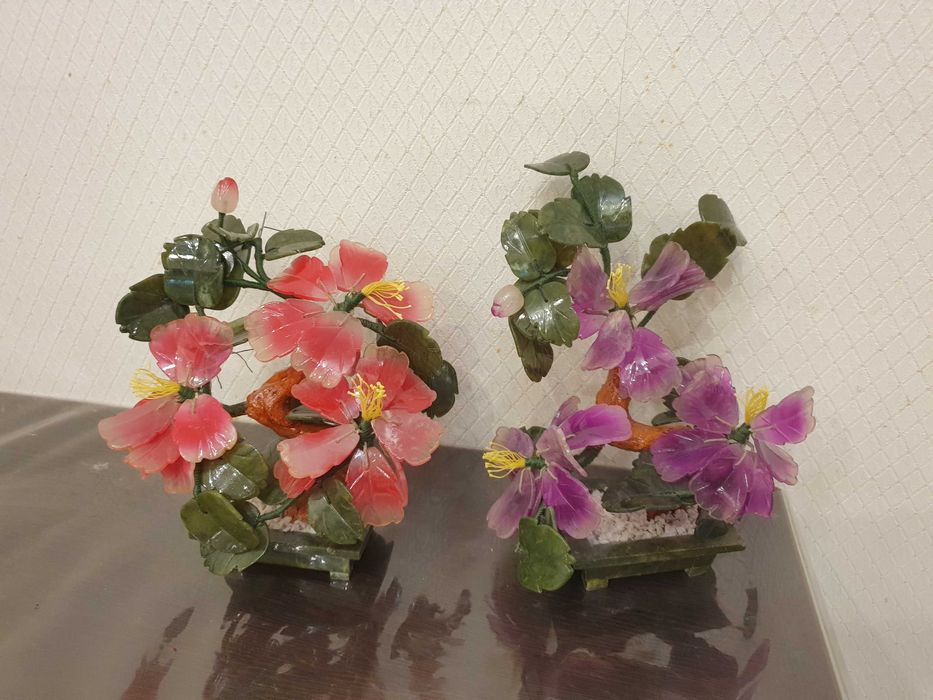 декоративные цветы