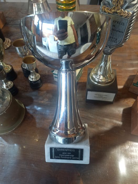 Колекция от купи и медал от първенство