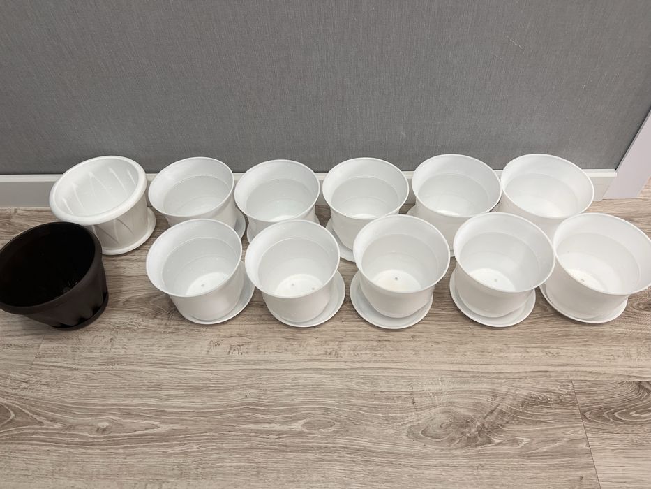 Комнатные цветы и горшки