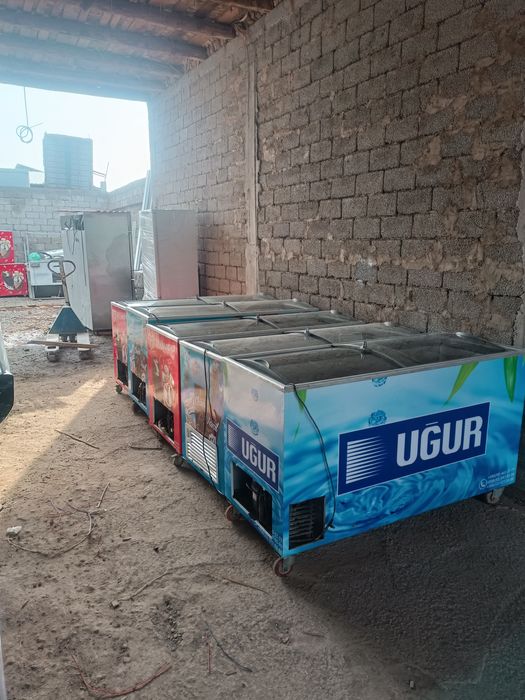 Uygʻur sitayashi xolodelik