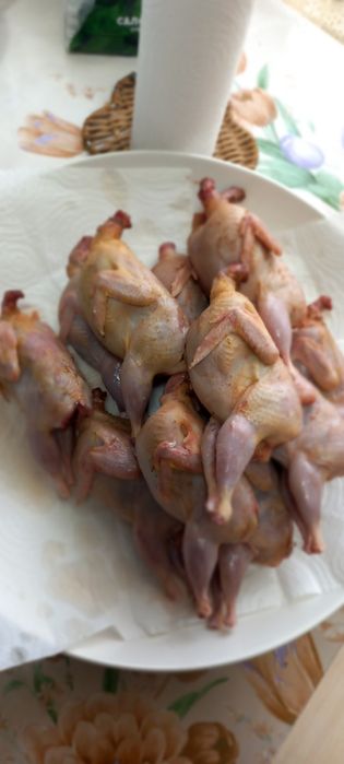 Бодене еті  сатылады