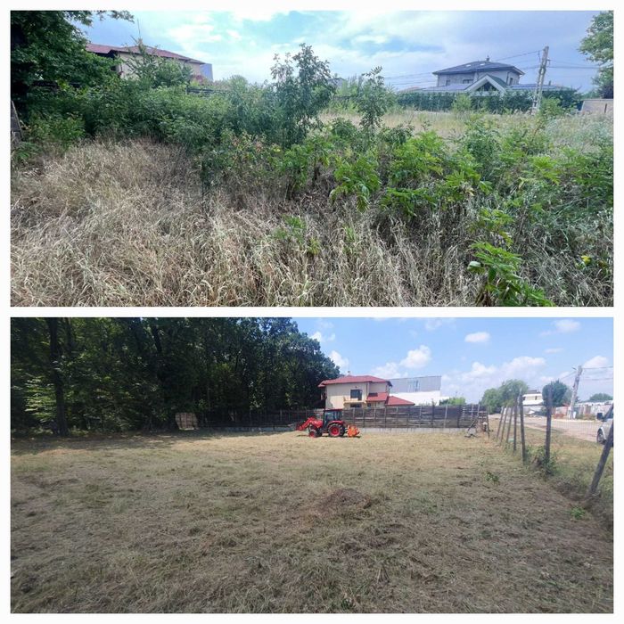 Igienizare, curatare teren si gradini, curatare ambrozie, amenajari