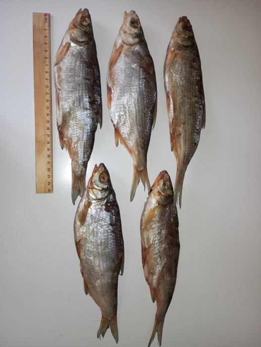 Сушеные Ребец майлы