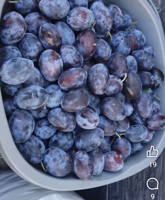 Prune pentru rachiu. Preț 1.50kg