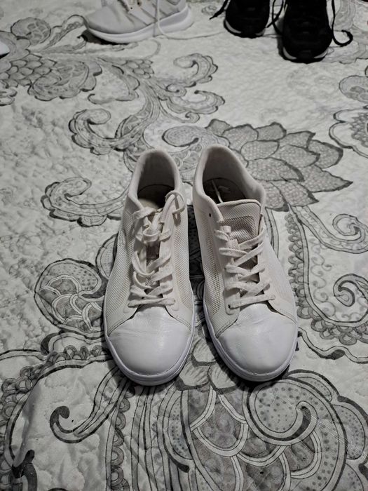 Adidași/Teniși Lacoste