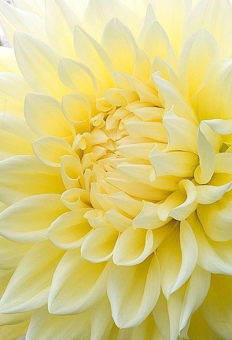 Сдам домик,в городе.не семейным.