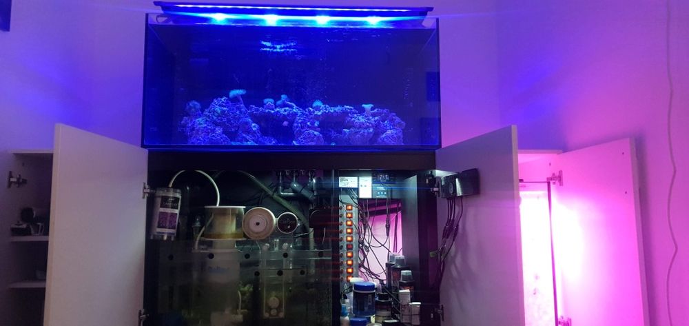 Acvariu marin Red Sea 425 XL