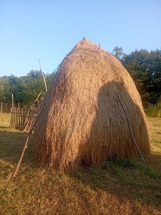 Vand fan, locatie Curtea de Arges