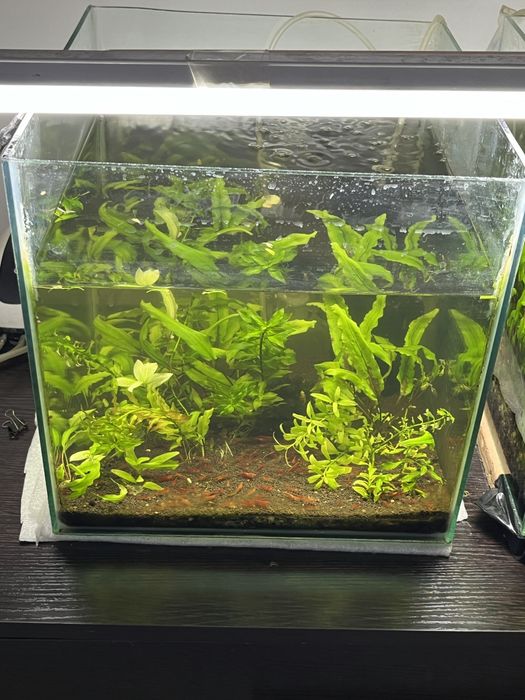 Аквариум 30 л.,40 л.