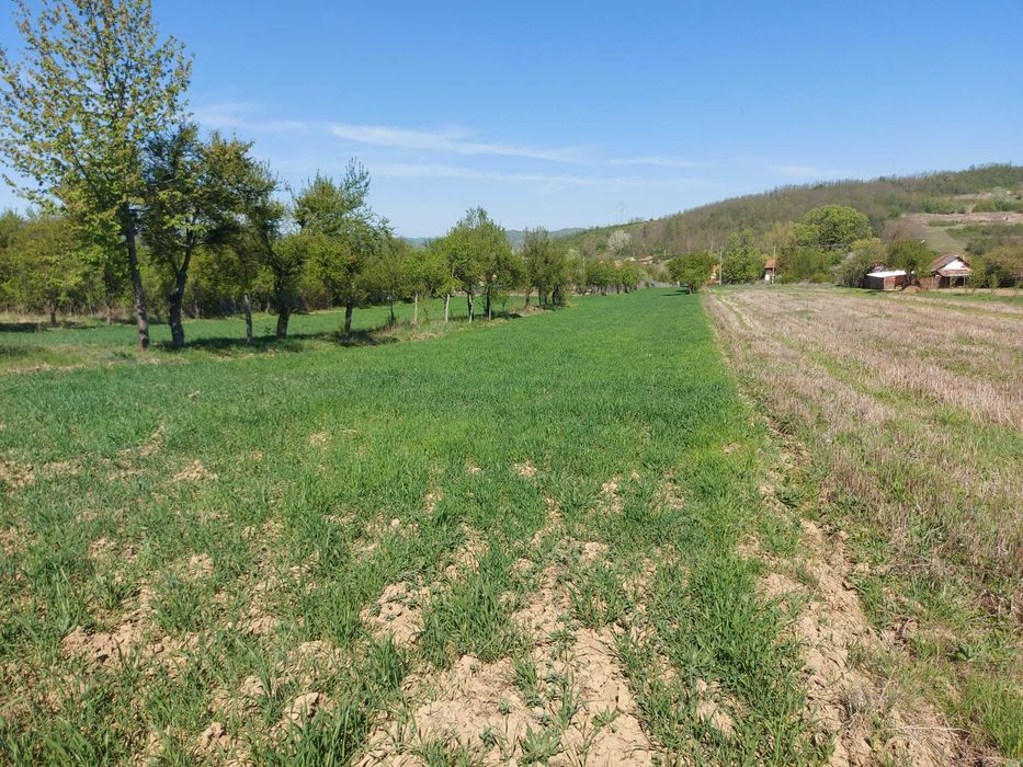 Teren 5,70 ha intravilan+extravilan,  Vladimir-Andreesti , Jud.Gorj