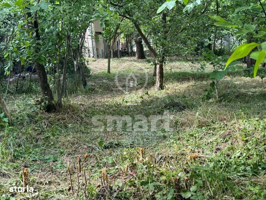 Casa si teren 975 mp Dambul Rotund