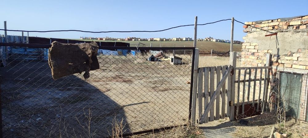 Продается дом в поселке Курылыс