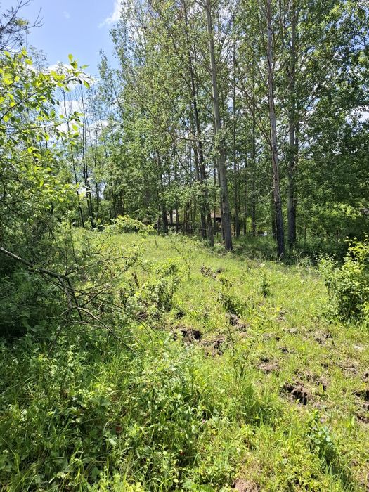Oferim spre  vanzare teren de 5000 m.Dintre acestia 1000 m ,intravilan perfect pentru casa ta de vis sau o cabana de weekend .