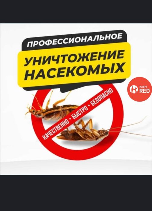 Услуга дезинфекций