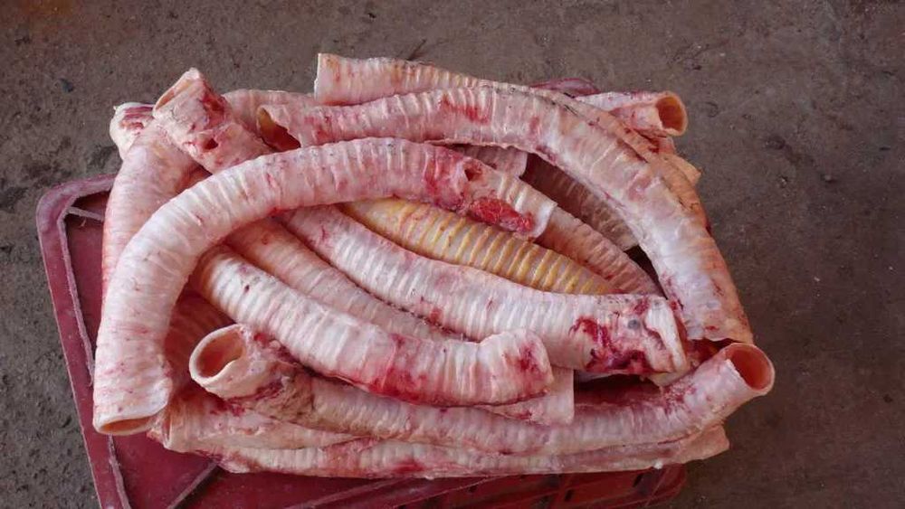 Требуха говяжья, трахея, вымя для собак