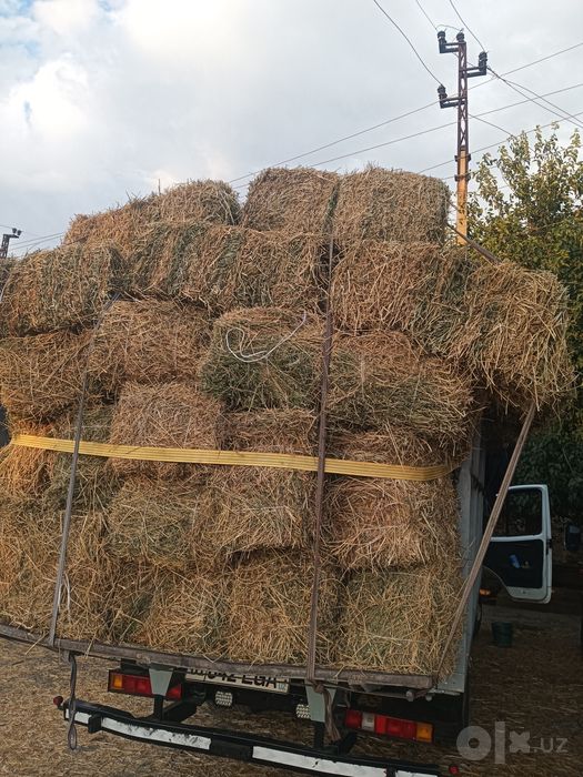 somon sifati yaxshi yetkazib berish xizmati mavjud