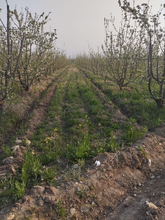Бог ижарага берилади