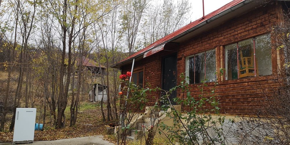 Vanzare Casa Salcia PH