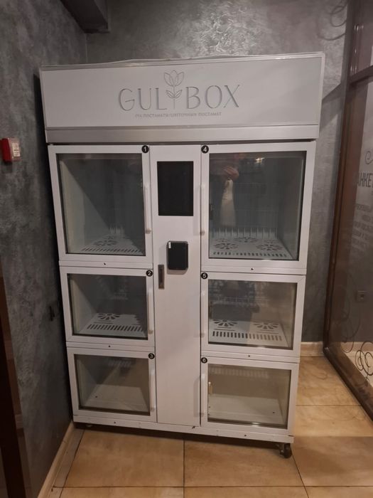 Вендиговый аппарат GullBox