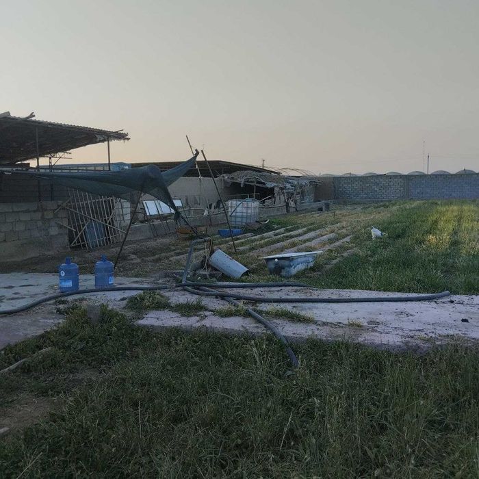 60 сутиклик Ер жой сотилади