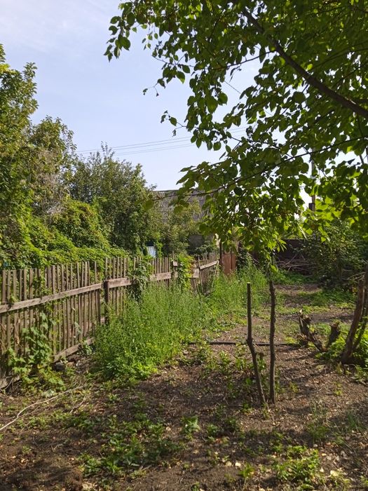 Дача сад Северный