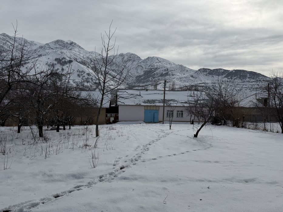 сижжак дача учун ер