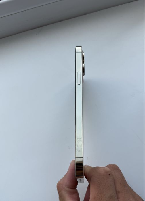 Iphone 12 Pro Max. 256