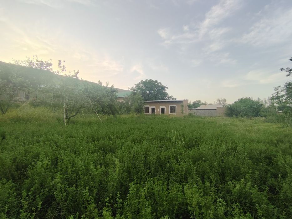 Dam olish maskani, Dacha va yashash uchun tabiat qo'ynidagi uchastka