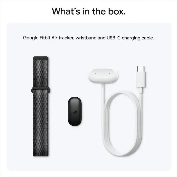 Фитнес браслет Google Fitbit Air