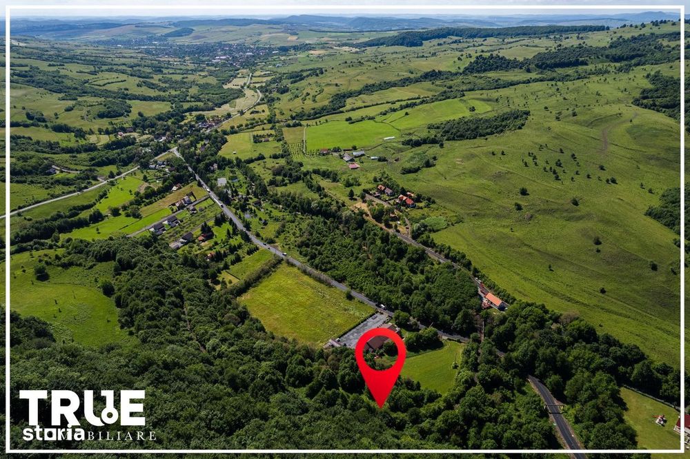 Teren intravilan 2.800 m² în Câmpu Cetății – liniște și natură