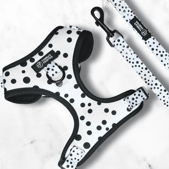 Кучешки нагръдник и повод - различни модели